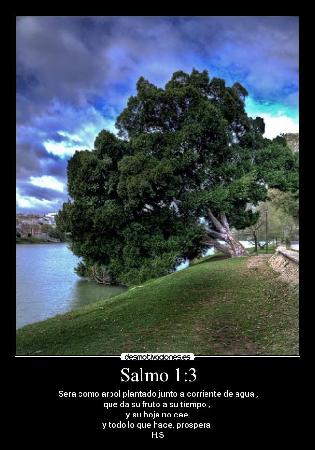 Salmo 1:3 - Sera como arbol plantado junto a corriente de agua ,
que da su fruto a su tiempo ,
y su hoja no cae;
y todo lo que hace, prospera
H.S