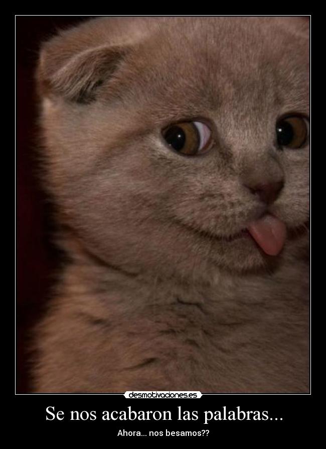 Se nos acabaron las palabras... - Ahora... nos besamos??