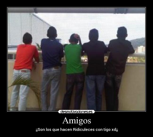 Amigos - 