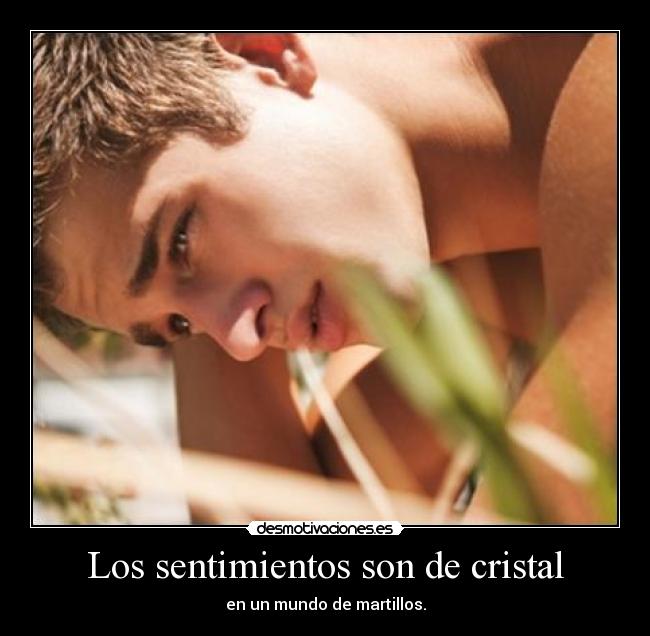 Los sentimientos son de cristal - 