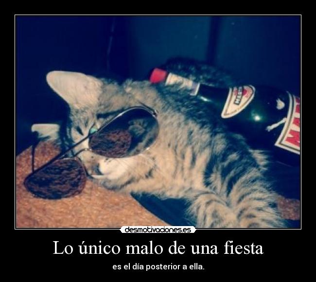 Lo único malo de una fiesta -