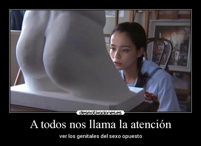 A todos nos llama la atención - ver los genitales del sexo opuesto