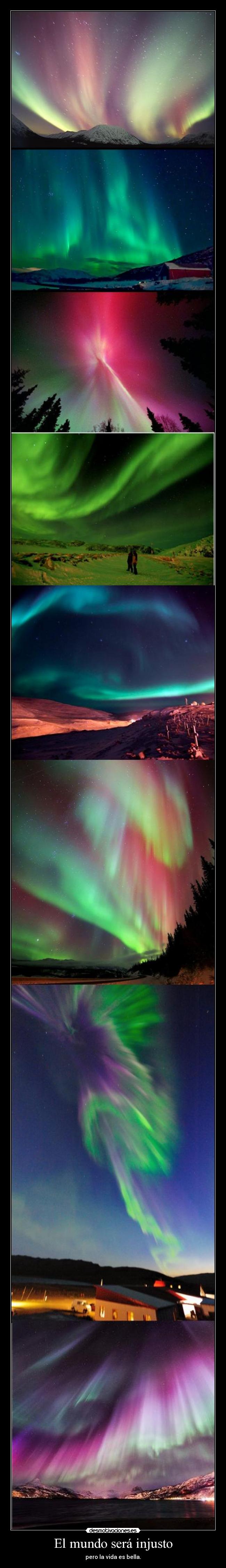 carteles mundo apoyo julian assange bradley manning hablo naturaleza desvies auroras boreales quiero desmotivaciones