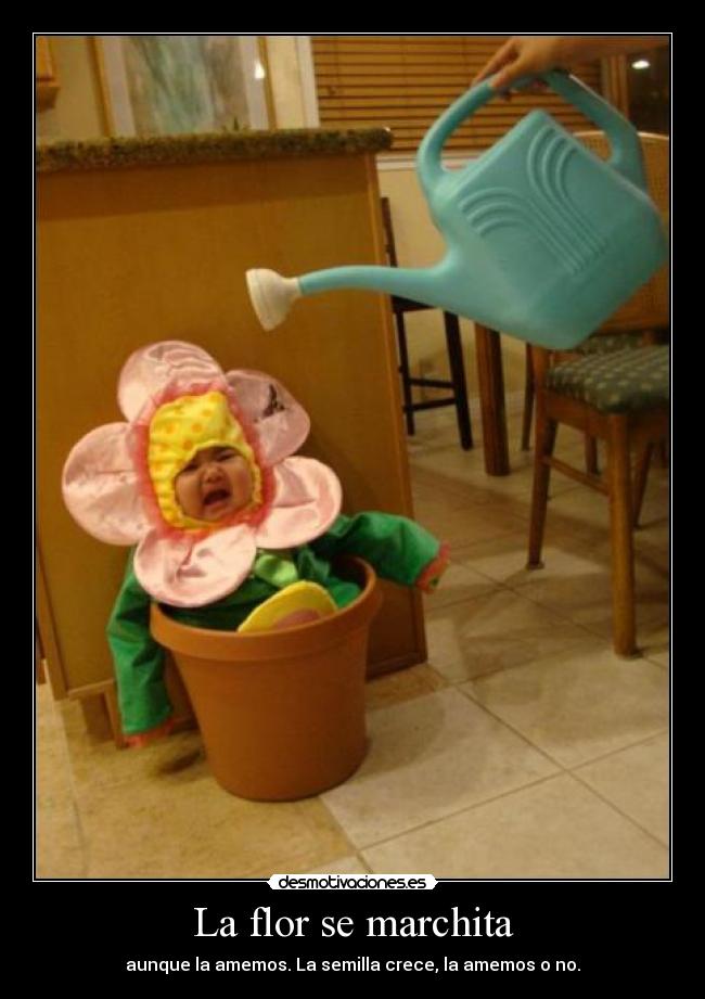 La flor se marchita - aunque la amemos. La semilla crece, la amemos o no.