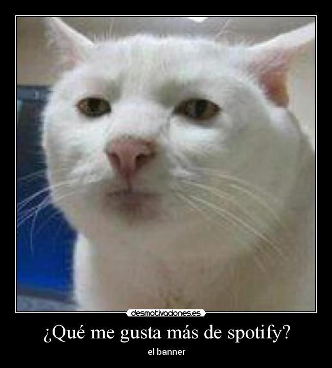 ¿Qué me gusta más de spotify? - el banner