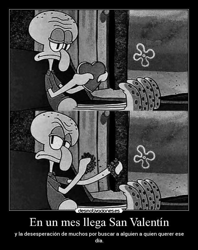 carteles asedy syti regalare flores bombones para hacer gasto xdd desmotivaciones