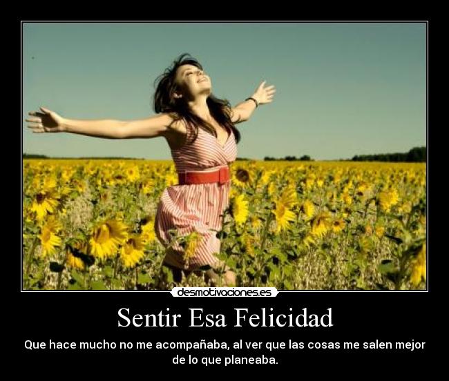 carteles felicidad feliz muuy feliz desmotivaciones