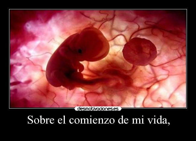 Sobre el comienzo de mi vida, - 