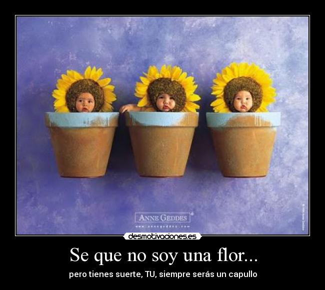 carteles sutileza brilla por ausencia desmotivaciones