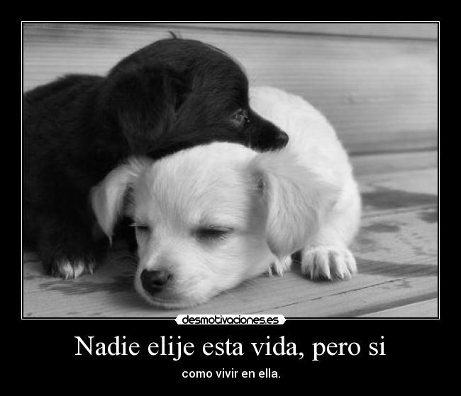 Nadie elije esta vida, pero si -