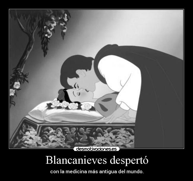 carteles mediometro frase bibliotecaria auschwitz esta encantando regalo charles desmotivaciones