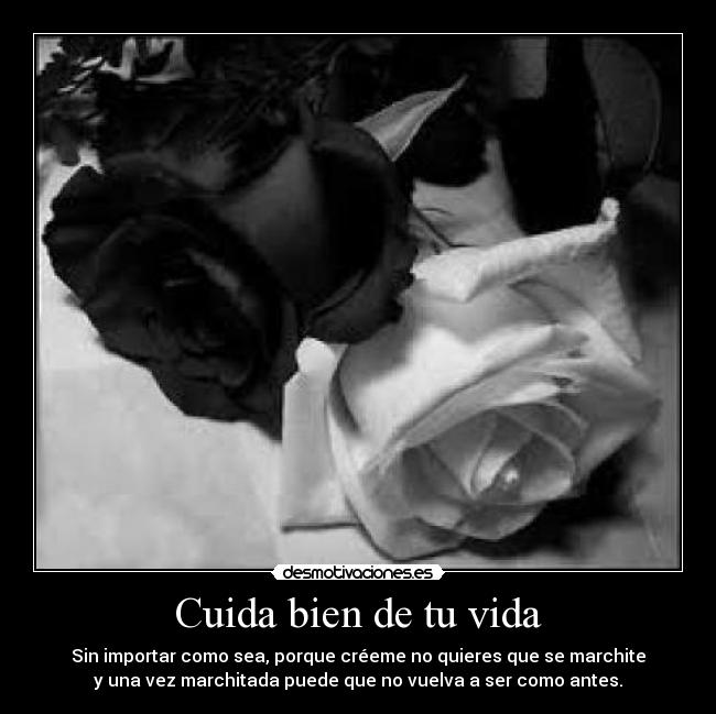 carteles vida vida cuidado rosas blanca negra alma desmotivaciones