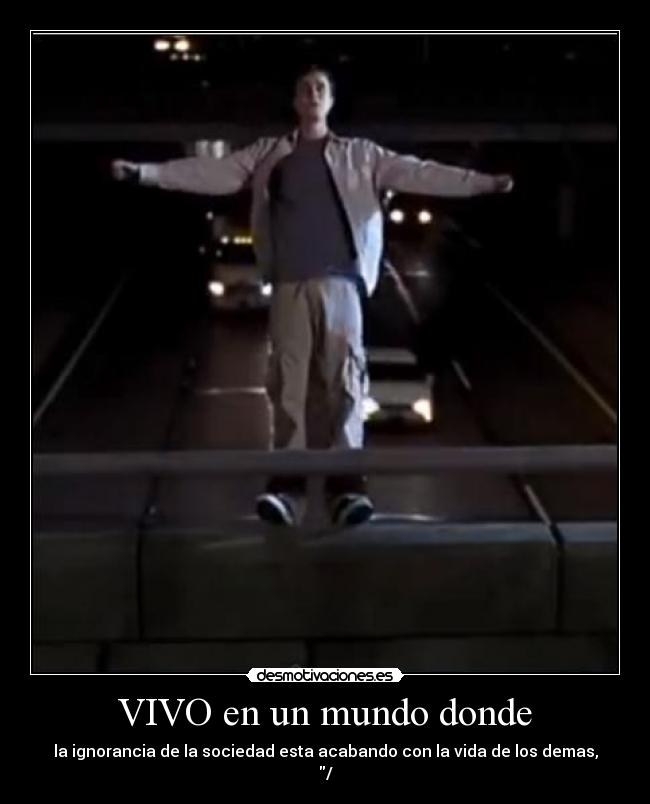 VIVO en un mundo donde - la ignorancia de la sociedad esta acabando con la vida de los demas,
/