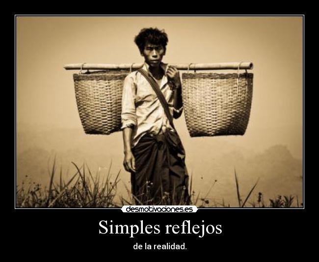 Simples reflejos -