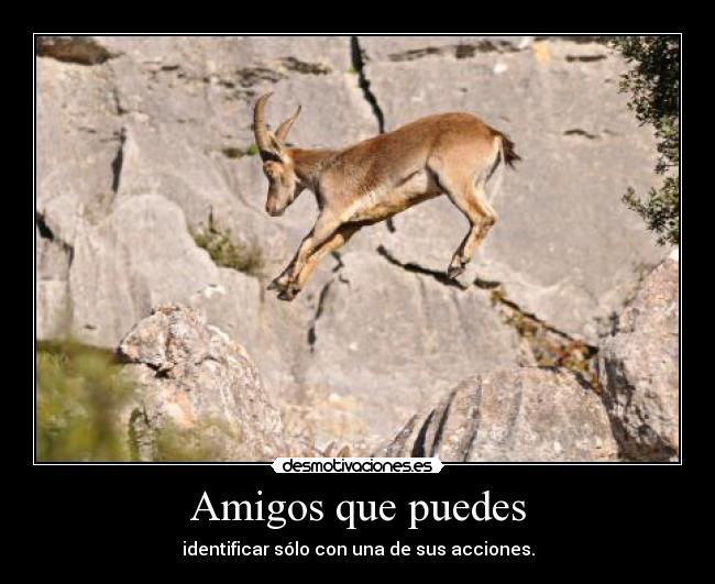 Amigos que puedes -