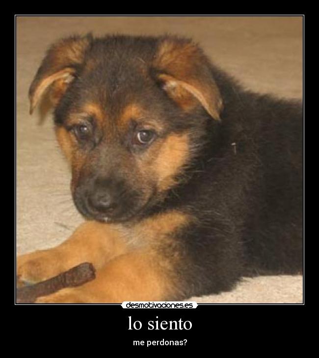 lo siento -