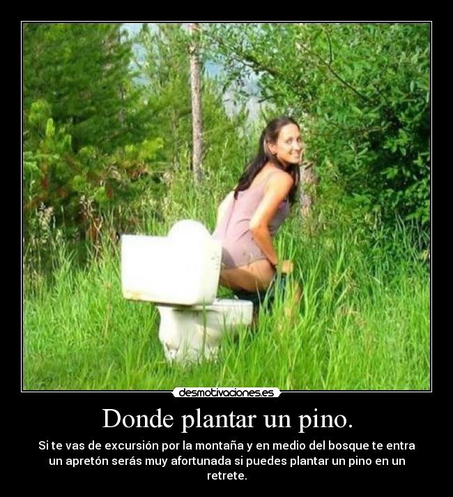 Donde plantar un pino. - Si te vas de excursión por la montaña y en medio del bosque te entra
un apretón serás muy afortunada si puedes plantar un pino en un
retrete.