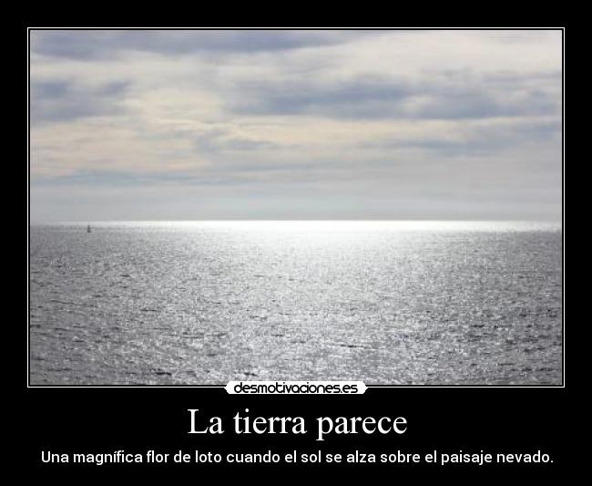La tierra parece - 