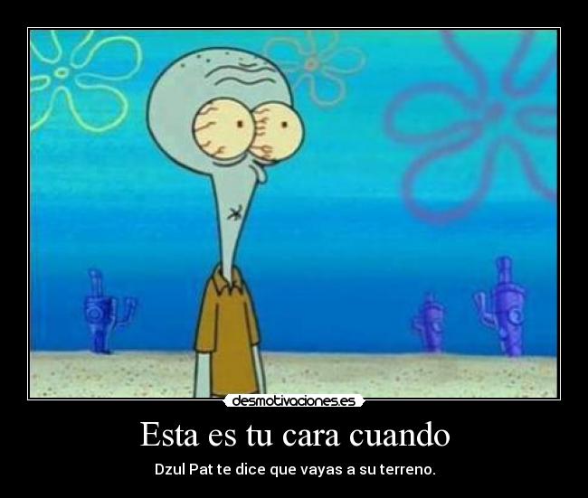 Esta es tu cara cuando - Dzul Pat te dice que vayas a su terreno.