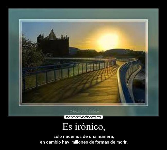 Es irónico, -