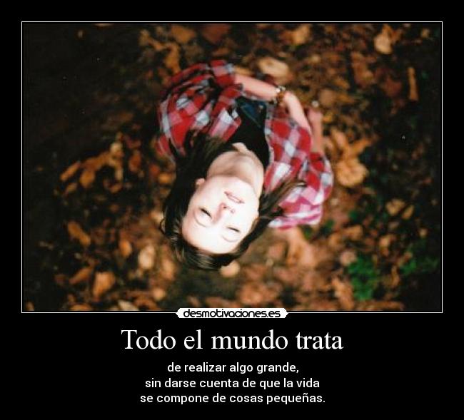 Todo el mundo trata - 