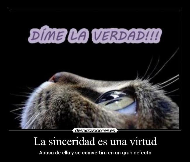 La sinceridad es una virtud - Abusa de ella y se comvertira en un gran defecto