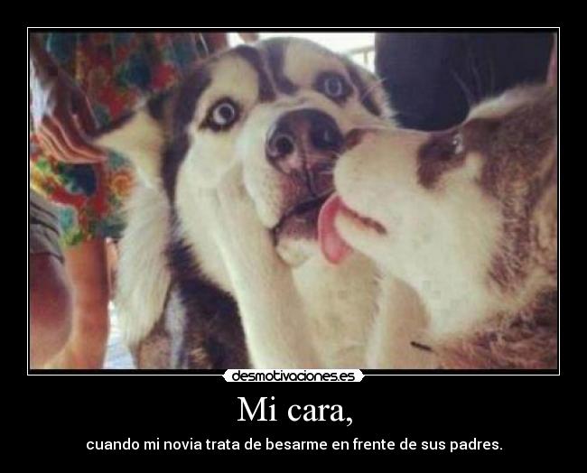 Mi cara, - cuando mi novia trata de besarme en frente de sus padres.
