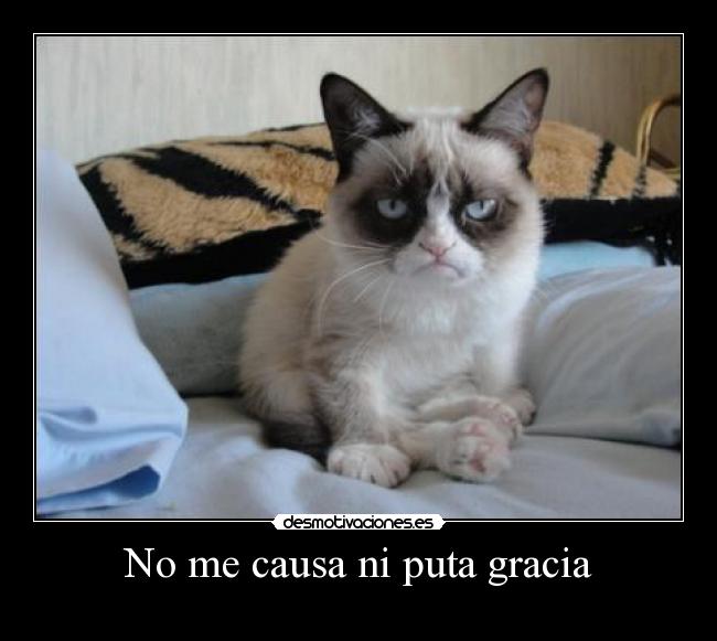 No me causa ni puta gracia - 