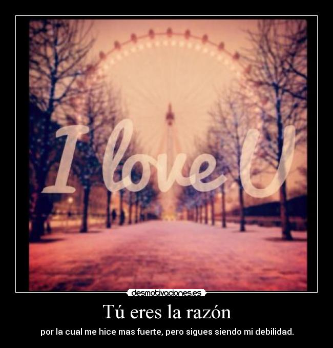 Tú eres la razón -