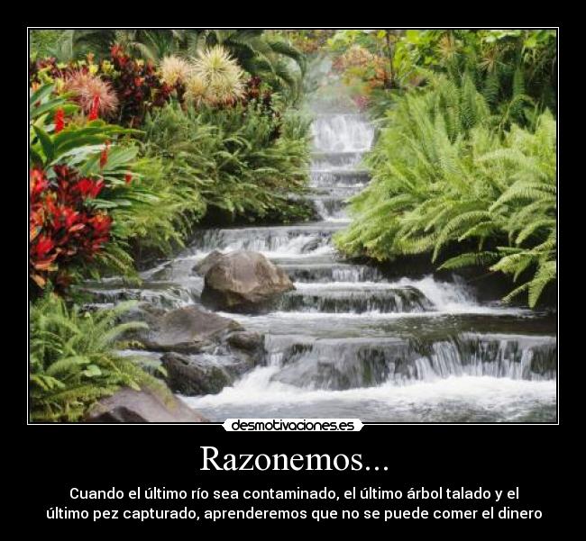 Razonemos... - Cuando el último río sea contaminado, el último árbol talado y el
último pez capturado, aprenderemos que no se puede comer el dinero