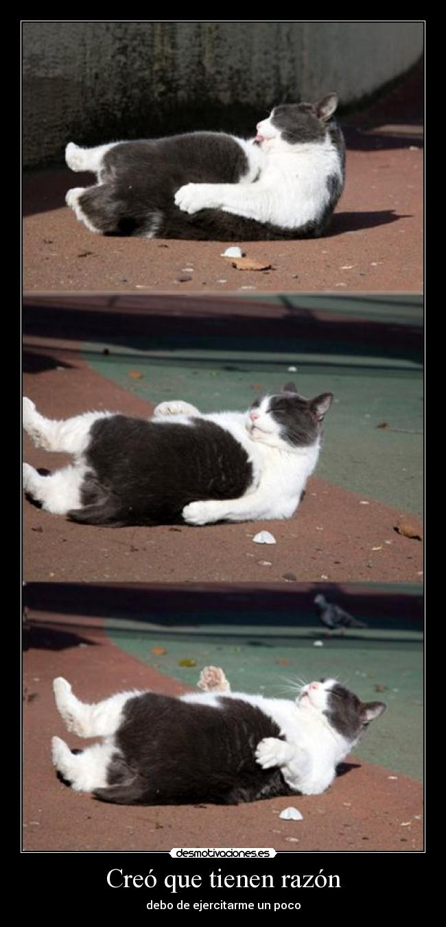 Creó que tienen razón - 