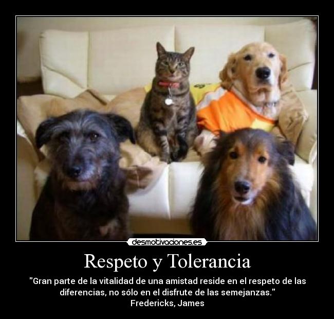 Respeto y Tolerancia - 