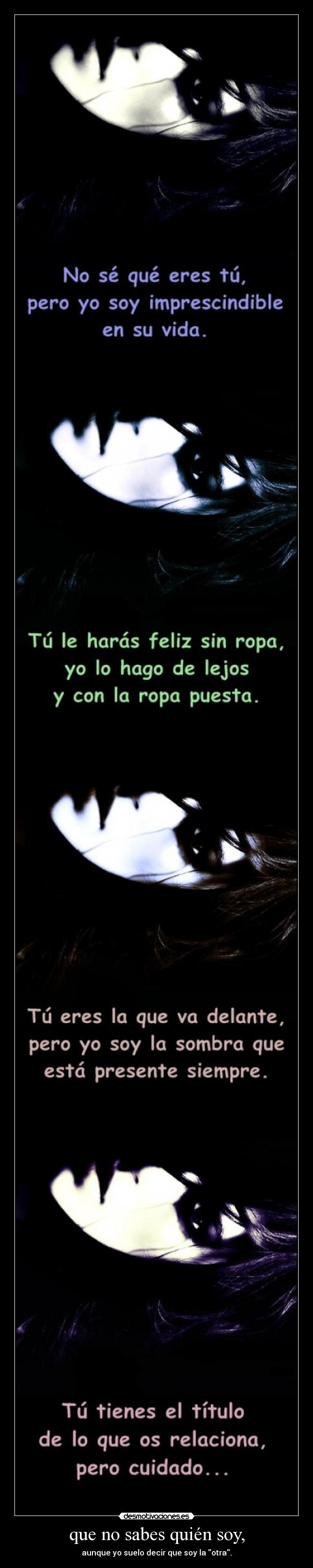 carteles desmopornositas asedy syti 60dias bonito titulo feliz 2013 desmotivaciones