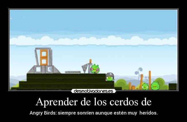 Aprender de los cerdos de -