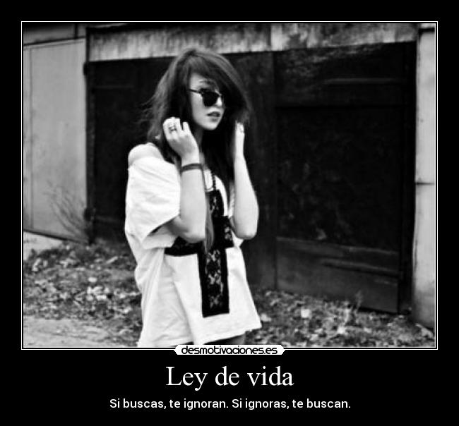 Ley de vida - Si buscas, te ignoran. Si ignoras, te buscan.