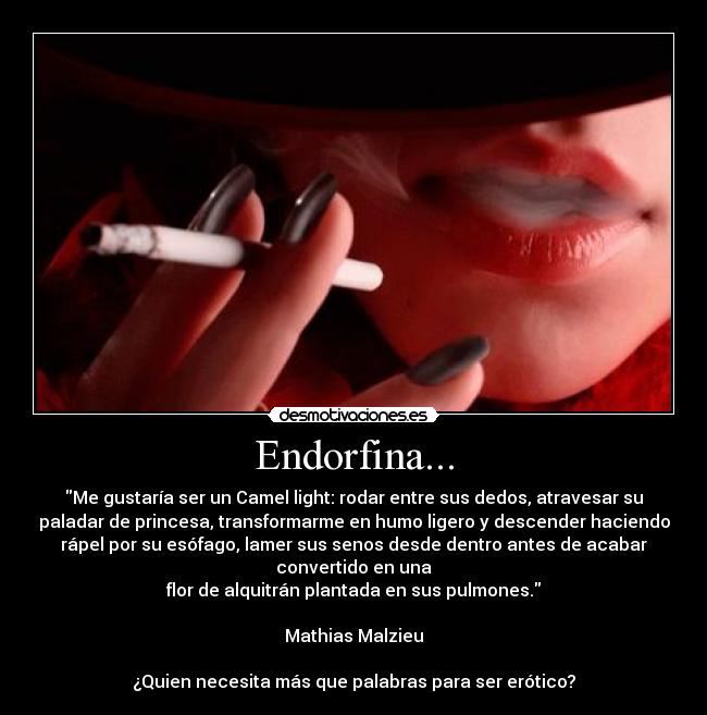 Endorfina... - Me gustaría ser un Camel light: rodar entre sus dedos, atravesar su
paladar de princesa, transformarme en humo ligero y descender haciendo
rápel por su esófago, lamer sus senos desde dentro antes de acabar
convertido en una
flor de alquitrán plantada en sus pulmones.
Mathias Malzieu
¿Quien necesita más que palabras para ser erótico?