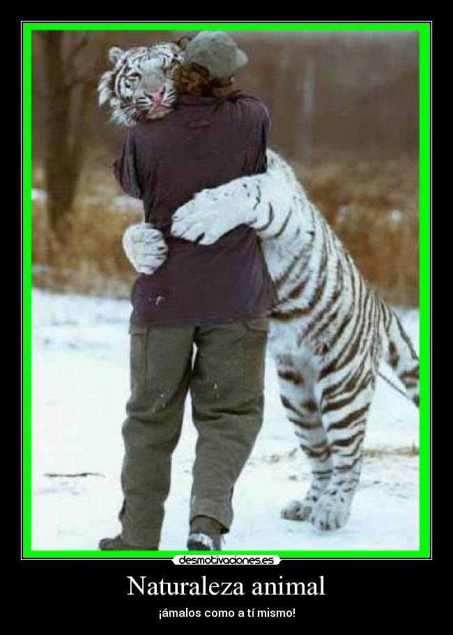Naturaleza animal - ¡ámalos como a tí mismo!