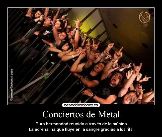 Conciertos de Metal - Pura hermandad reunida a través de la música
La adrenalina que fluye en la sangre gracias a los rifs.