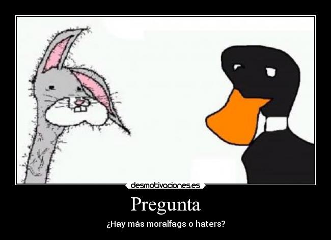 Pregunta - 