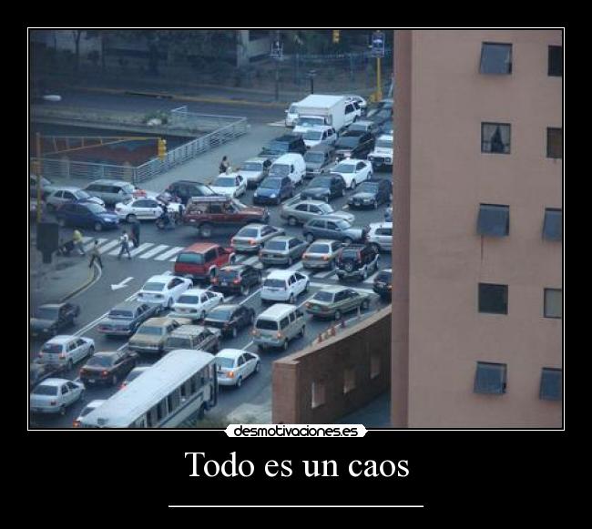 Todo es un caos - ___________________________________