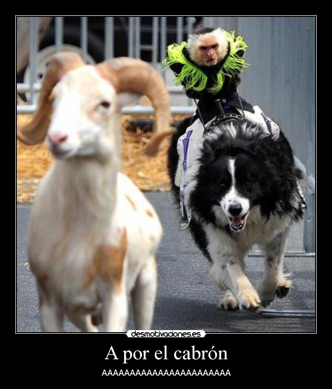 A por el cabrón - 