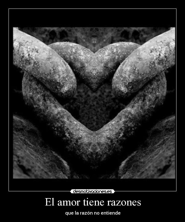 El amor tiene razones -