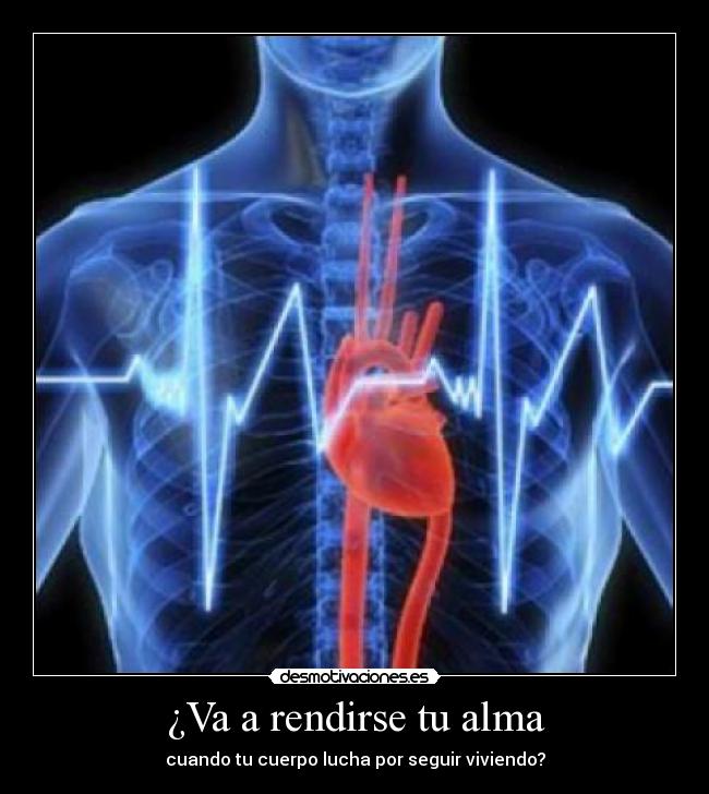 carteles alma corazon alma vivir luchar rendirse desmotivaciones