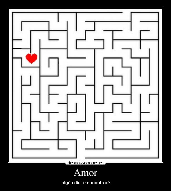 Amor - 