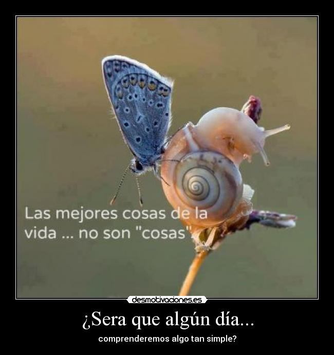 ¿Sera que algún día... - comprenderemos algo tan simple?