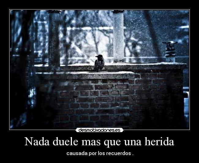 Nada duele mas que una herida - causada por los recuerdos .
