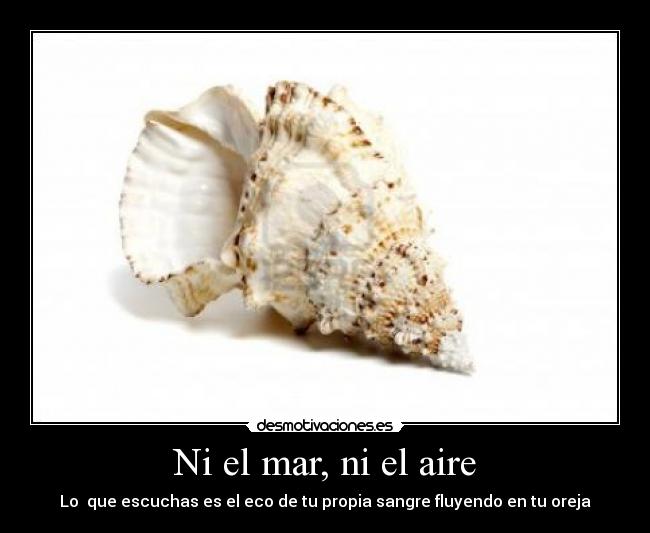 Ni el mar, ni el aire -