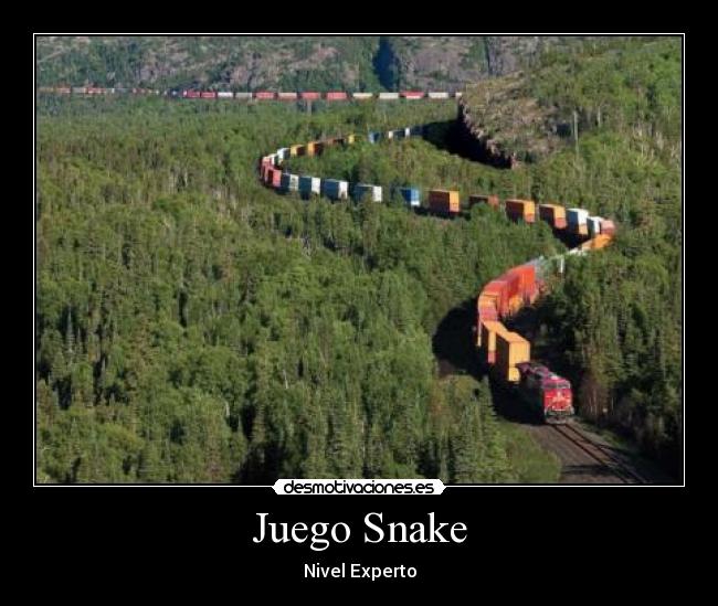 Juego Snake -