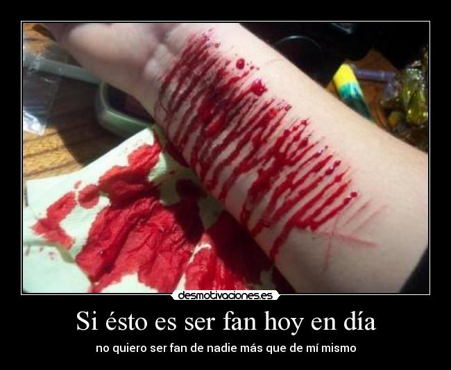 Si ésto es ser fan hoy en día -