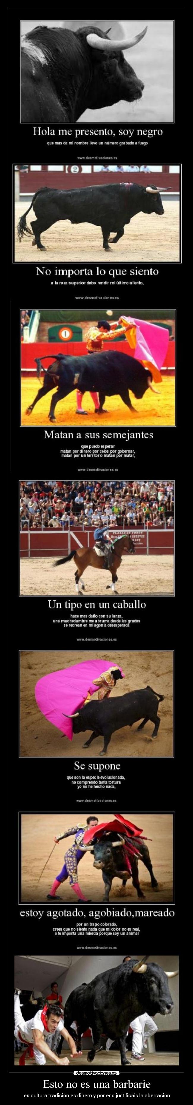 Esto no es una barbarie - es cultura tradición es dinero y por eso justificáis la aberración